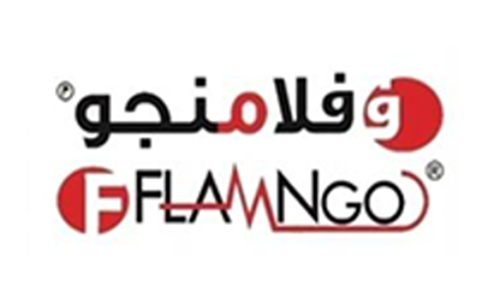 MFA Electronics